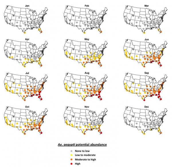 Fig. 2. The 2006-2015 ensemble mean monthly average Ae. aegypti potential abundance. 