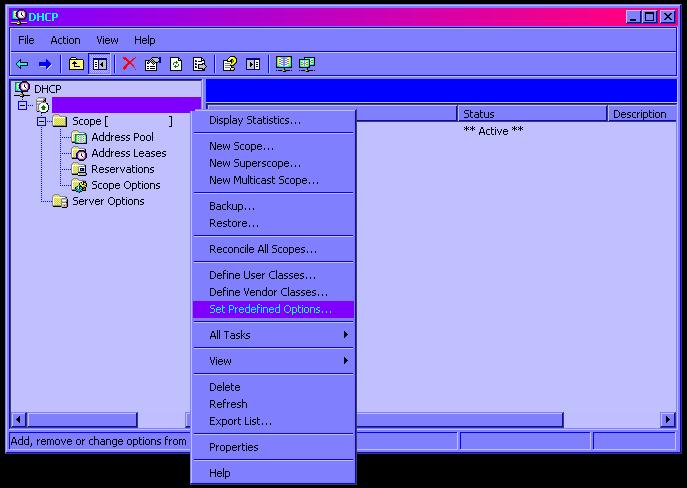 msdhcp:win_dhcp_encap1.jpg