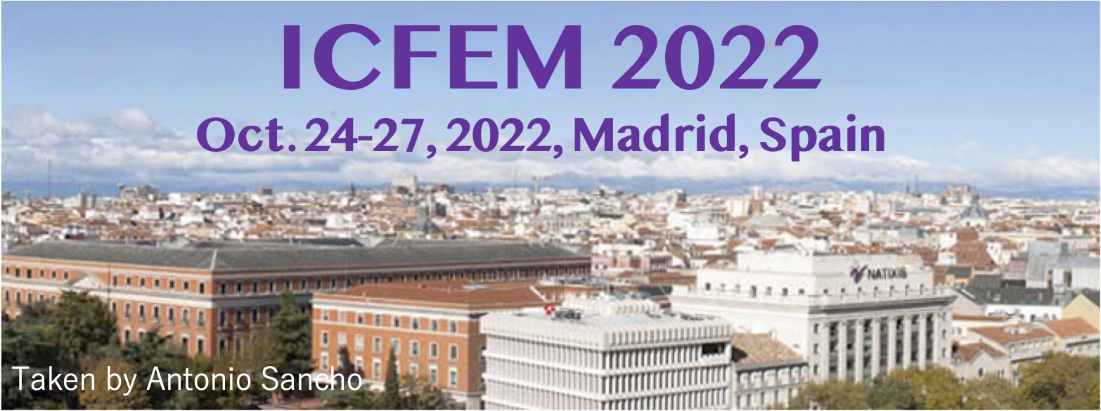 Icfem Logo