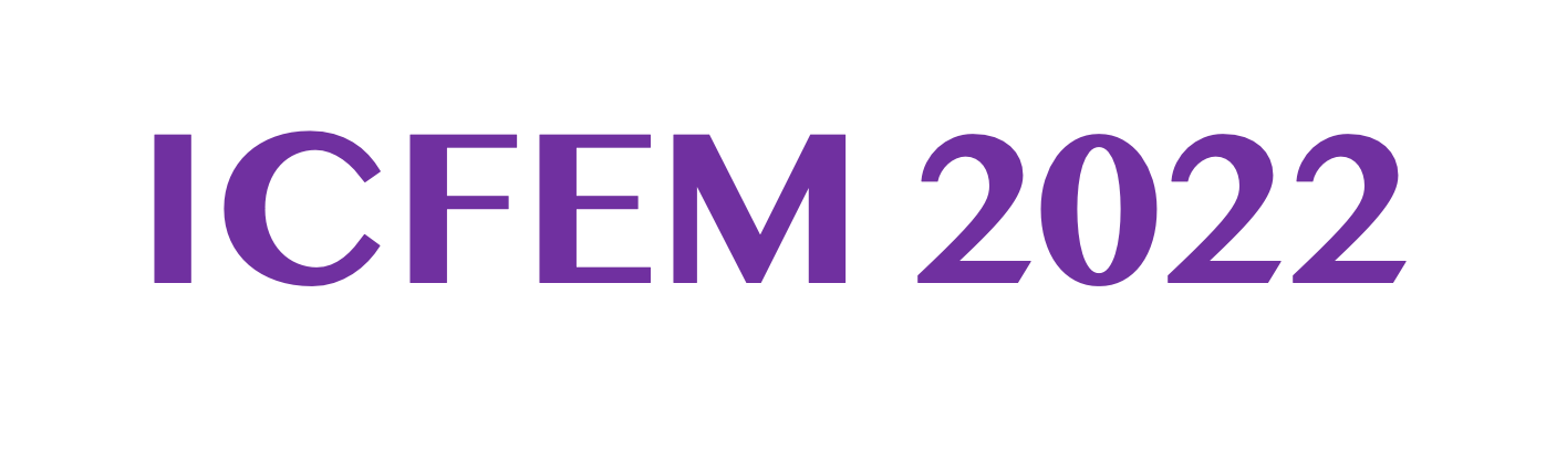 Icfem Logo