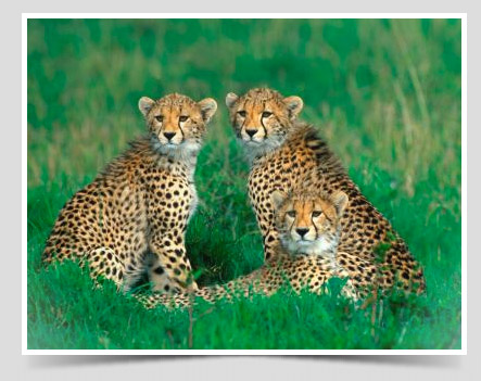css-box-shadow-step11 css-box-shadow-step11