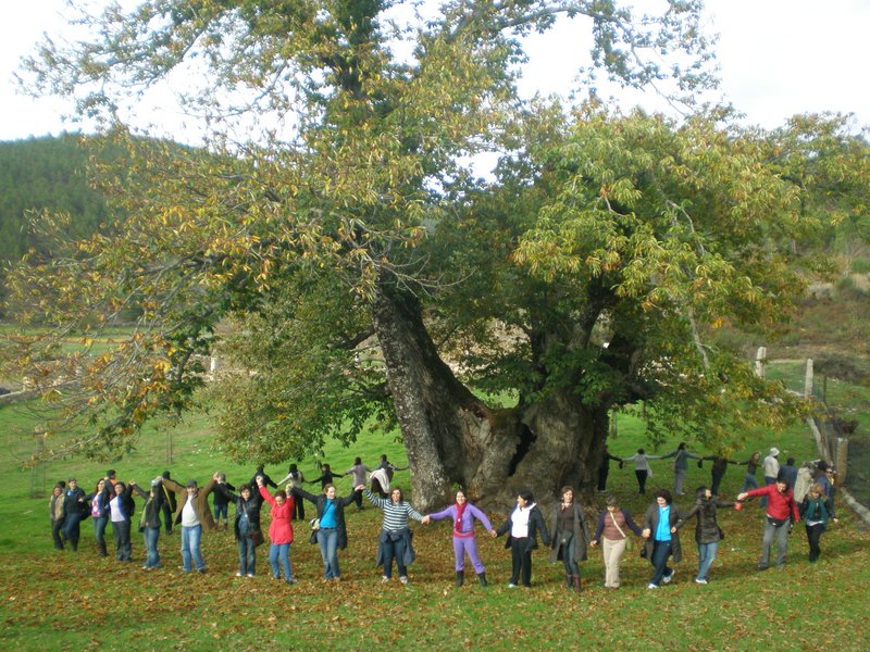 Passeio Aventura 2010. Colaboradores da Mundos de Vida abraçam o maior castanheiro da Europa.