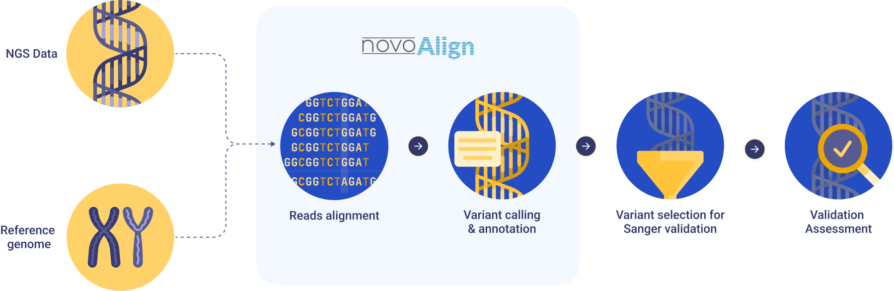 novoalign-workflow-2024