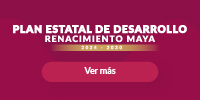 Plan Estatal de Desarrollo