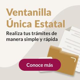 Ventanilla Única Estatal