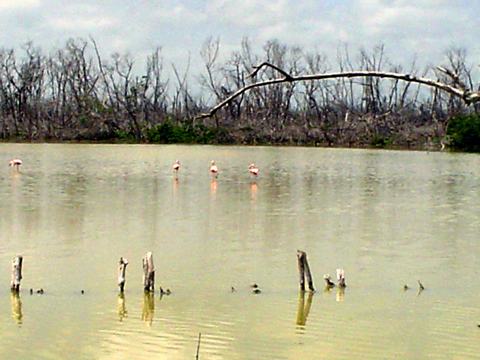 Laguna Feliz