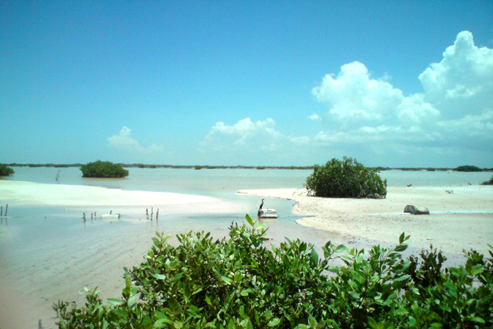 Ciénega