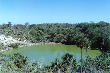 Antiguo cenote