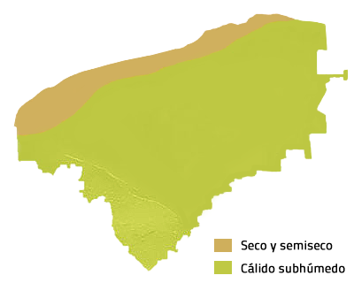 Climas de Yucatán