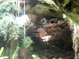 Calcehtok