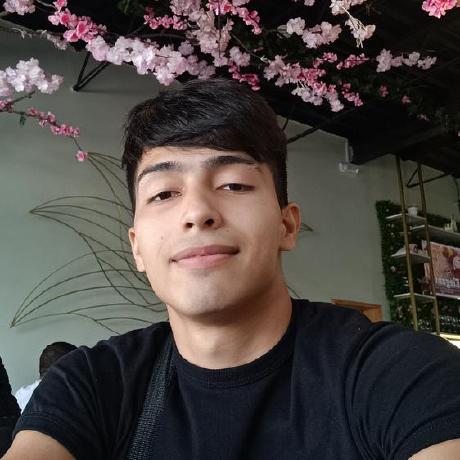 Armando Diaz