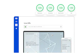 Diagram of a website with perfect lighthouse performance scores