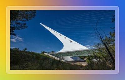 A white bridge with a curved structure and a tree with no leaves nearby.