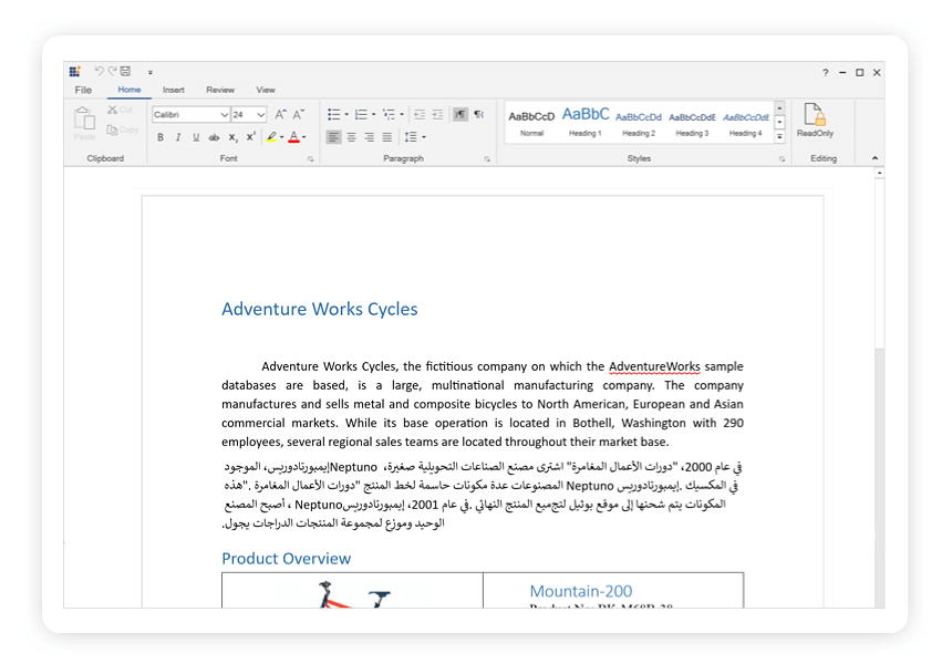 Document Editor