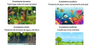 Tipos de ecosistemas