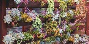 Las macetas tradicionales pasan a un segundo plano: la tendencia que gana fuerza para aprovechar al máximo los balcones pequeños