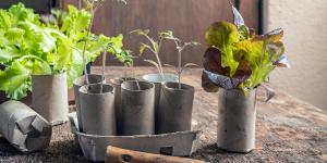 Los tubos de cartón del papel higiénico tienen una segunda vida: así puedes aprovecharlos en el jardín