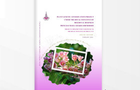 รูปภาพ : วารสาร อพ.สธ. - มทร.ล้านนา น่าน (February 2026)