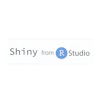 Shiny logo