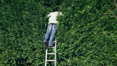 Is Your Curiosity Helping or Hurting Your Work?