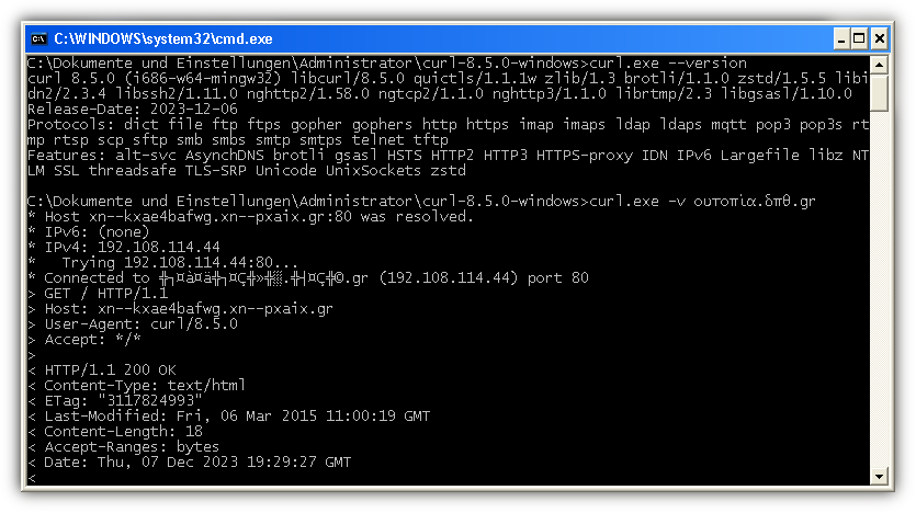 cURL Screenshot
