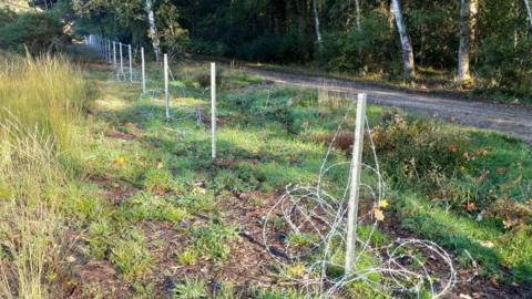 A row of metal fencing posts on grass are pictured during the day. Lines of barbed wire are spooled around the posts, leaving gaps. Beyond the fencing is a small footpath and a woodland area with many trees.