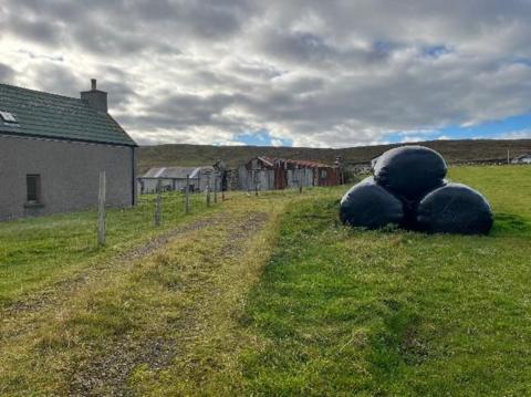 Heavy grey cloud over a farm yard