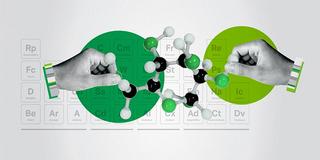 The Science of Teams - Gallup