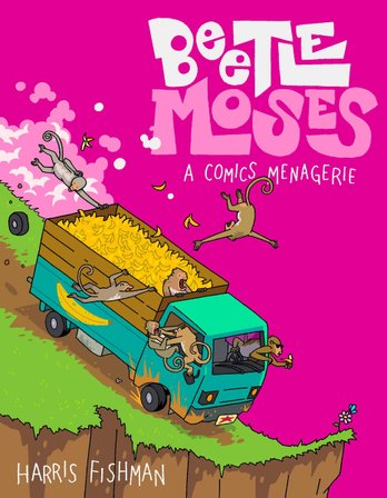 Beetle Moses bookcover