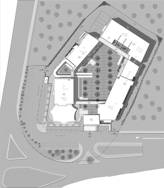 Polytechnic School of Sousse / Atelier Façila - architectures & paysages Polytechnic School of Sousse / Atelier Façila - architectures & paysages - Image 12 of 15