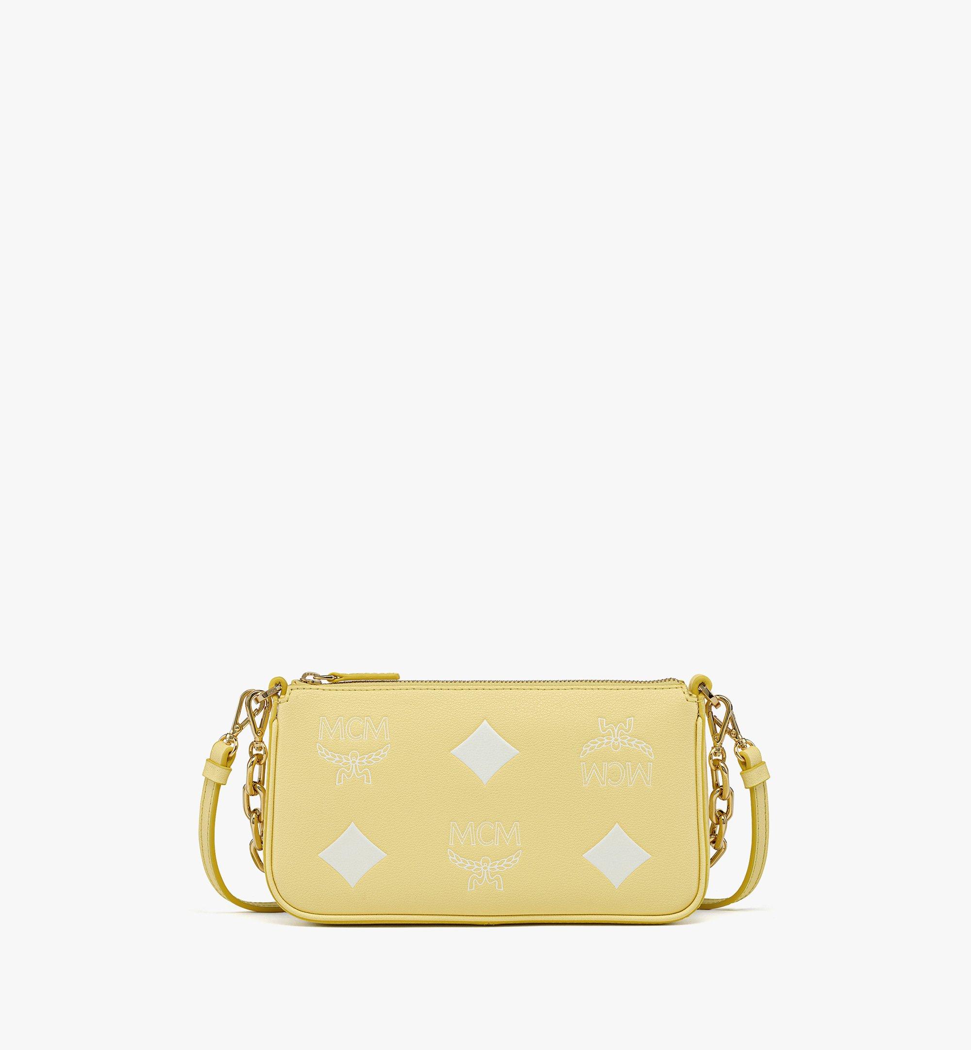 Aren Chain Pouch in Resetos