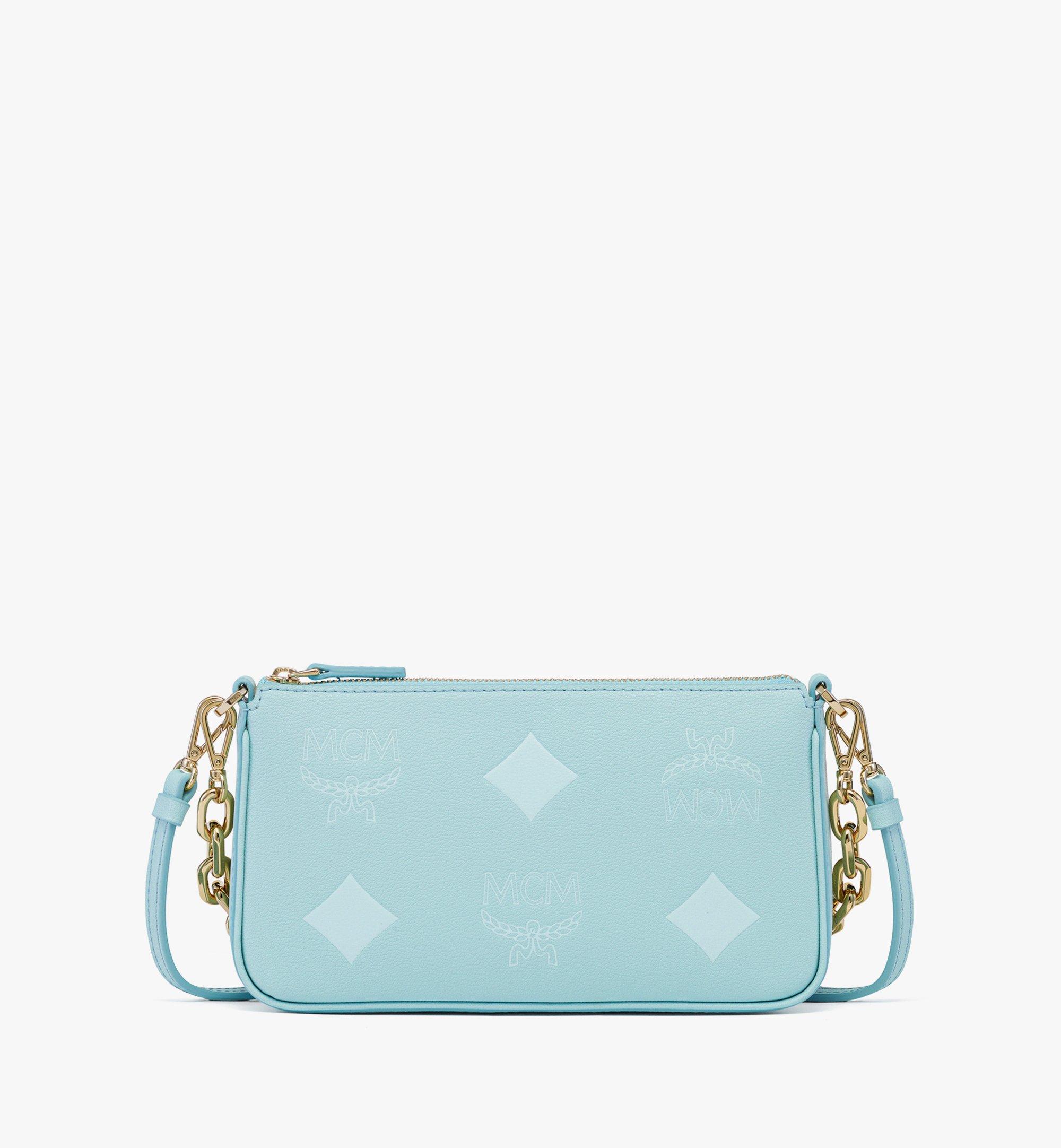 Aren Chain Pouch in Resetos
