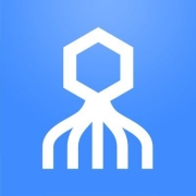 Secret Double Octopus Logo