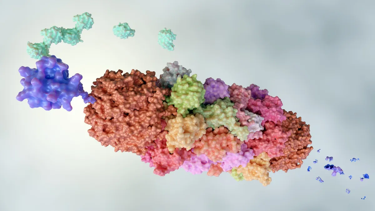 A colorized rendering of the cell's proteasome.