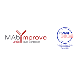 logo mabimprove