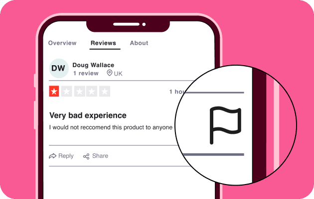 A graphic showing a flag being added to a fake review by the fraud-detection software