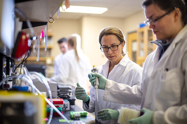 Two scientists in lab coats with pipettes