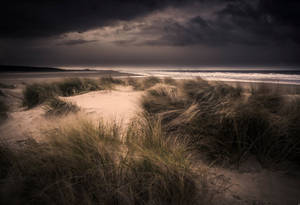 Door de wind geteisterde strandduinen onder een stormachtige hemel met gouden grassen. — HD Achtergronden
