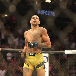 UFC fighter celebrates victory in the octagon with crowd in background. — Yellow Wallpaper