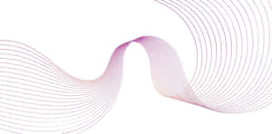Motif abstrait de vagues de fines lignes en dégradé violet et rose sur fond blanc. — Applicable Fonds d'écran