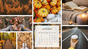 Høstcollage med gresskar, blader, skogssti, kalender og hånd som holder kaffe. — Aesthetic Bakgrunner