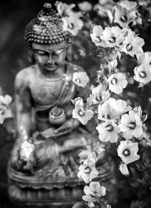En Buddha-statue omgivet af blomstrende blomster i en have. — Zen Wallpapers