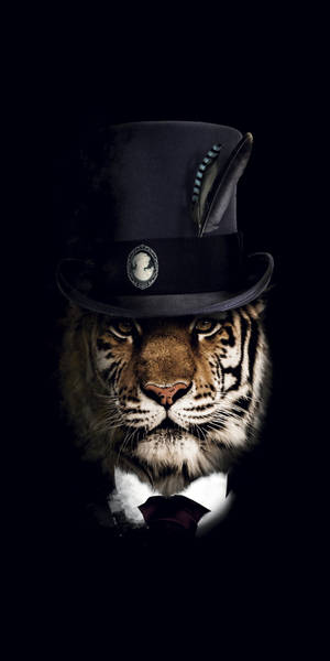 Ein Tiger im Zylinder und Fliege vor schwarzem Hintergrund. — Wild Wallpaper