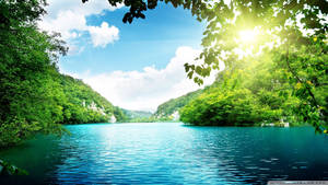 Um lago turquesa tranquilo aninhado em uma floresta verde exuberante com luz solar filtrando através das árvores. — Tranquilo Papéis de Parede