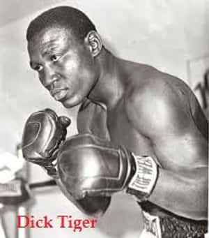 Boxeador Dick Tiger com luvas pronto para lutar em foto preto e branco. — Boxe Papéis de Parede
