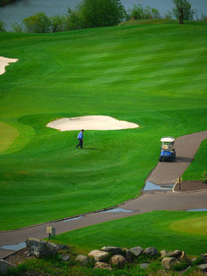 Golfspiller går på grøn golfbane nær sandfælde og vogn. — Golfbane Wallpapers