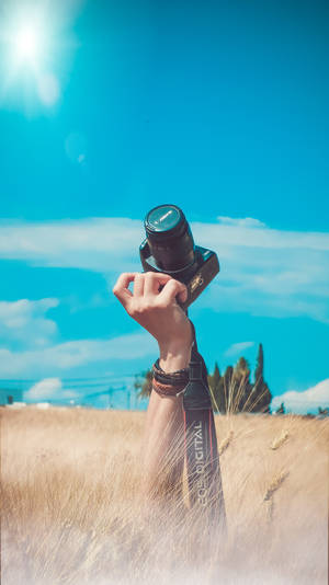 Hand die camera vasthoudt in hoog tarweveld onder helderblauwe lucht. — Camera Achtergronden