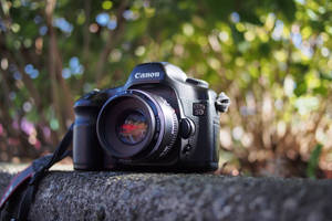 Zwarte Canon DSLR-camera op steen met groene bladeren achtergrond — Camera Achtergronden