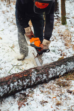 Person cutting a log with a chainsaw in a snowy forest. — Tool Wallpaper