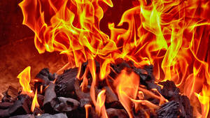 Primo piano di fuoco ruggente con braci incandescenti e fiamme arancioni brillanti. — Calore Sfondi